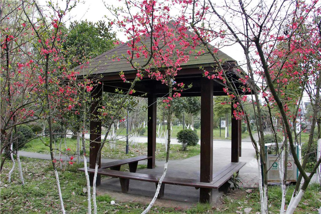 綿陽市秀水中學(xué)校園風采