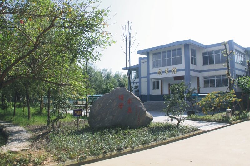 樹德懷遠中學校園風采