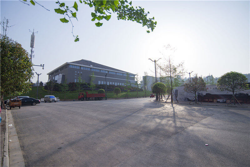 巴中市巴州區(qū)恩陽中學校園風采