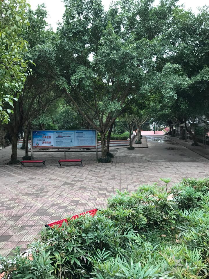 內(nèi)江十二中2019年班級設置