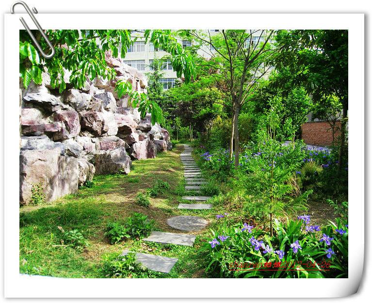 甘洛中學(xué)地址在哪里？