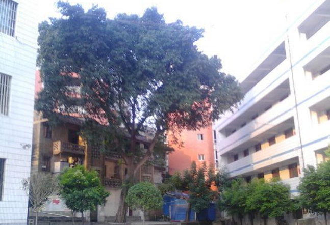 資中縣太平中學(xué)地理位置在哪里？
