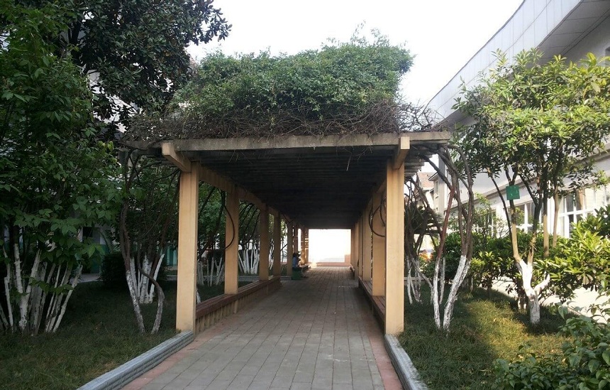 通錦中學(xué)環(huán)境怎么樣？