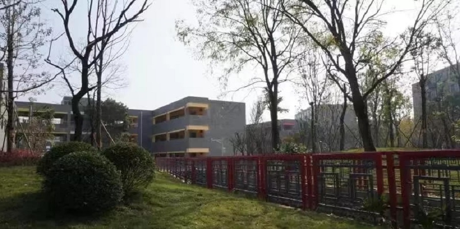 成都綿實外國語學(xué)校2020年升學(xué)率怎么樣？