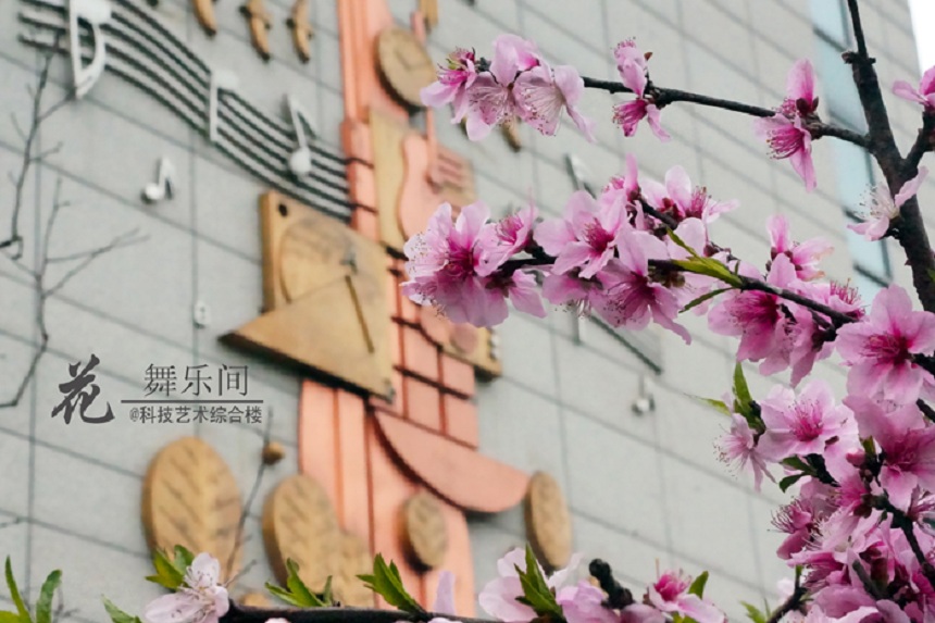 石室天府中學(xué)環(huán)境好不好、怎么樣？