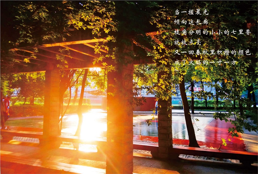 成都七中高新校區(qū)2019年中考分?jǐn)?shù)線是多少？