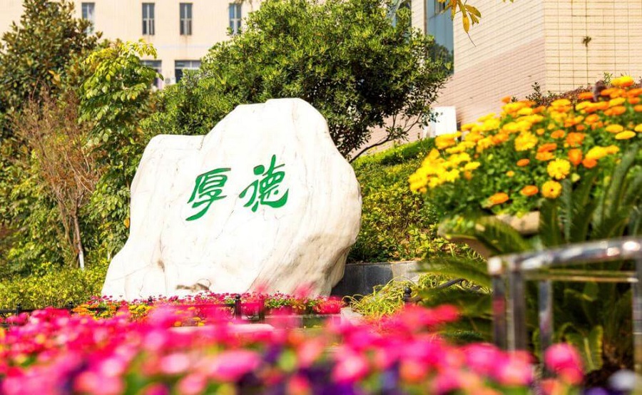 綿陽外國語學(xué)校學(xué)費(fèi)大概是多少？