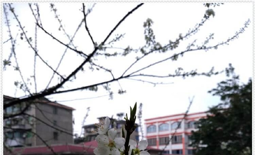 洪雅中學(xué)2018年招生分?jǐn)?shù)是多少？