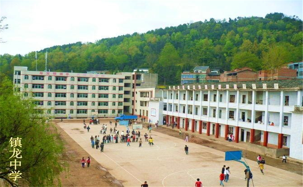 平昌縣鎮(zhèn)龍中學2020年學費多少錢？