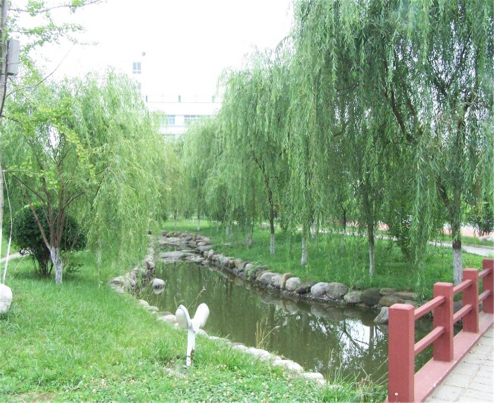 廣元外國語2020年學(xué)校招生分?jǐn)?shù)公布了嗎？