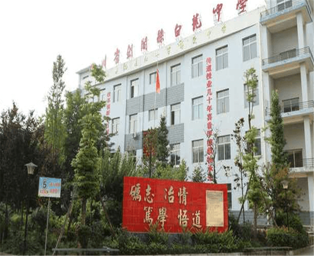 白龍中學(xué)2020年招生計(jì)劃公布了嗎？