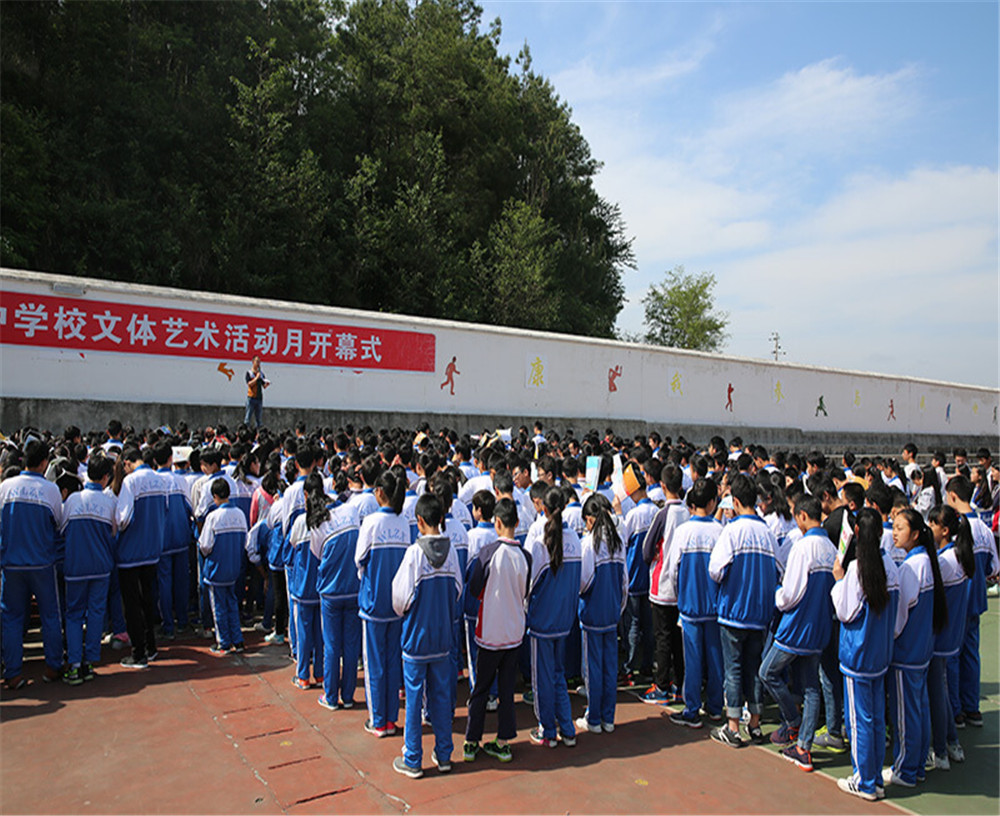 五龍中學的招辦電話是多少？