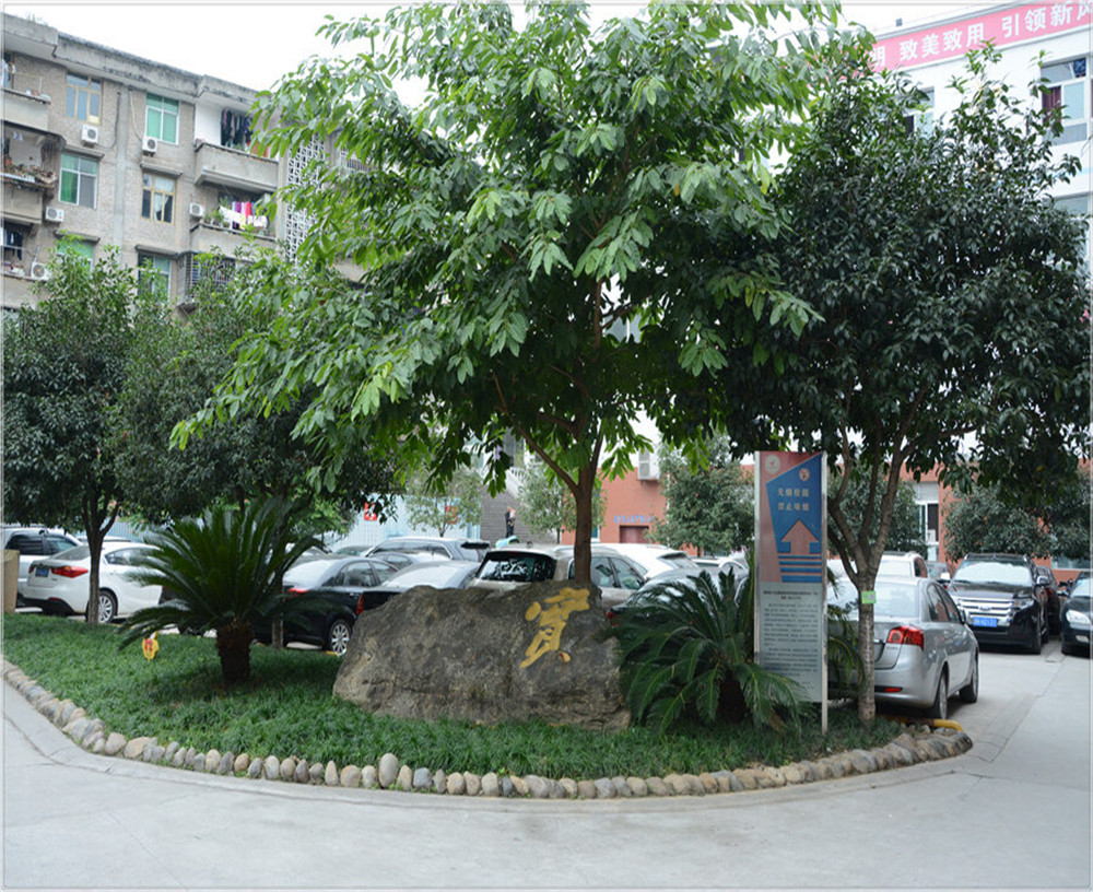 蒼溪實(shí)驗(yàn)中學(xué)的環(huán)境怎么樣？