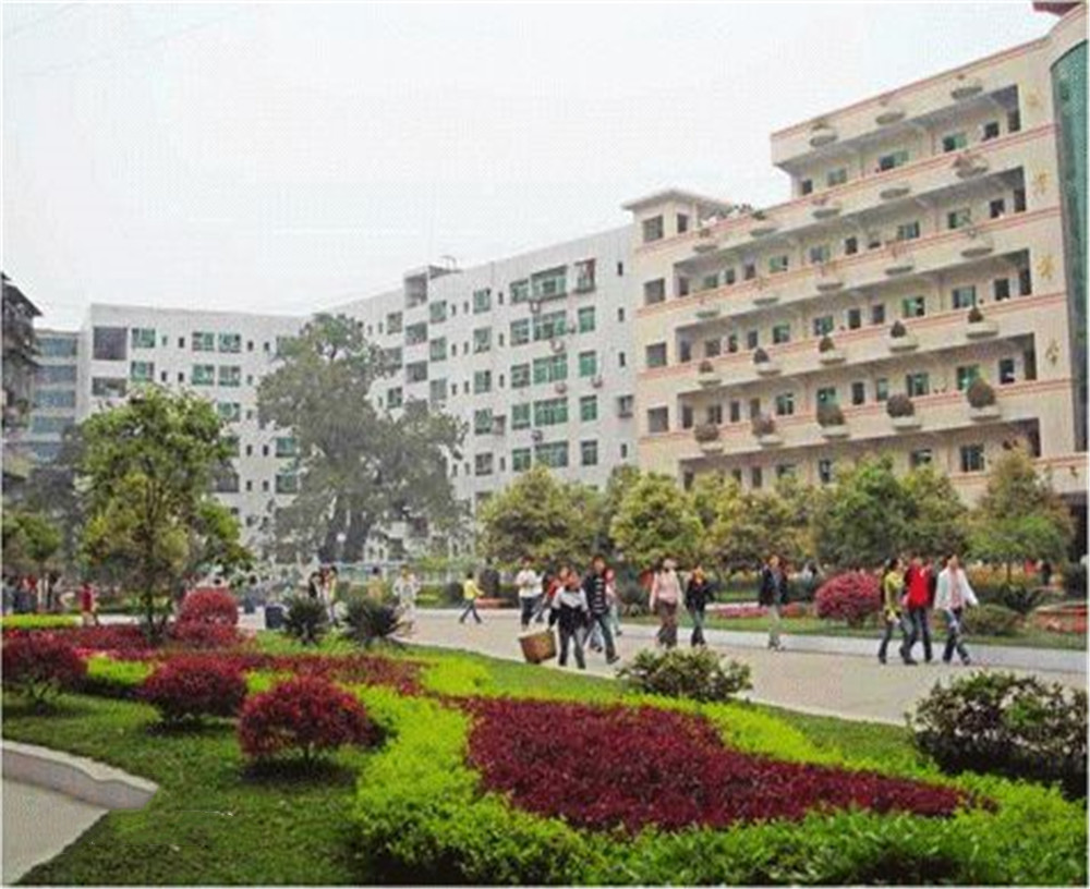 渠縣第二中學(xué)學(xué)校2020年的錄取分?jǐn)?shù)公布了嗎？