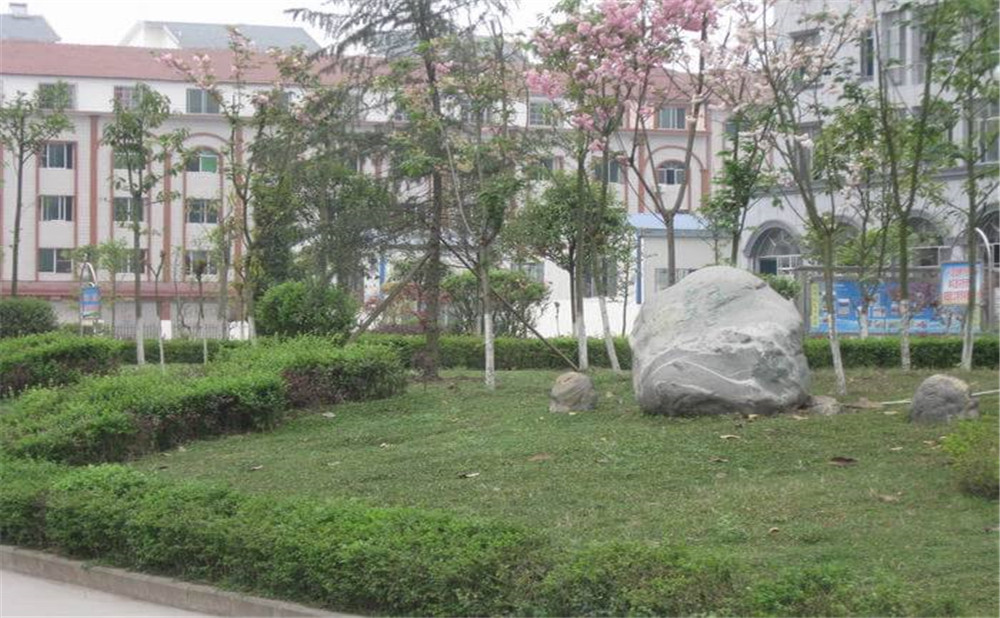 大英縣育才中學2020年的收費標準是多少？