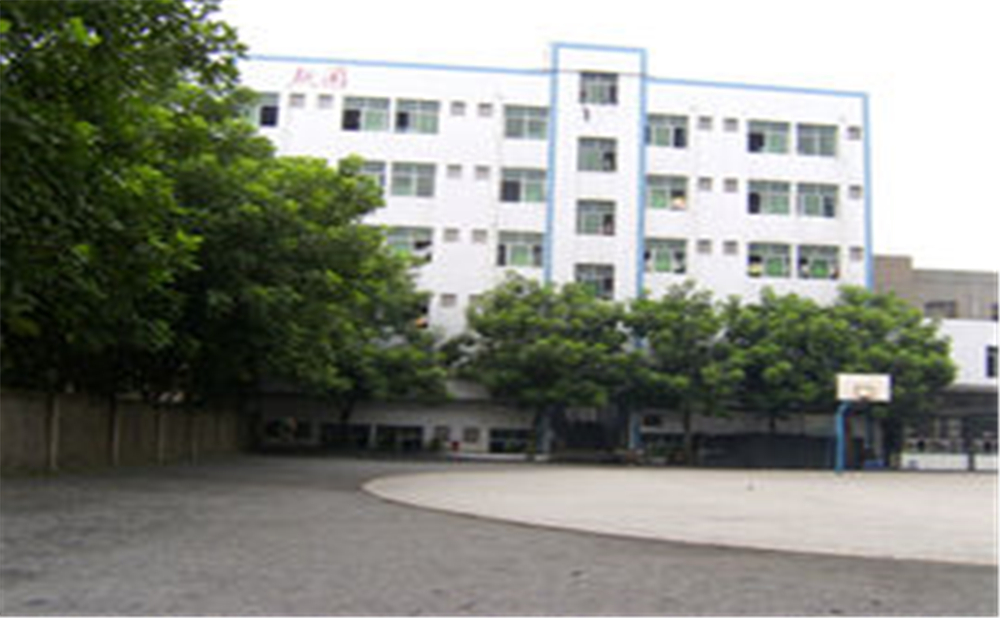 資中縣第三中學(xué)學(xué)校環(huán)境怎么樣？
