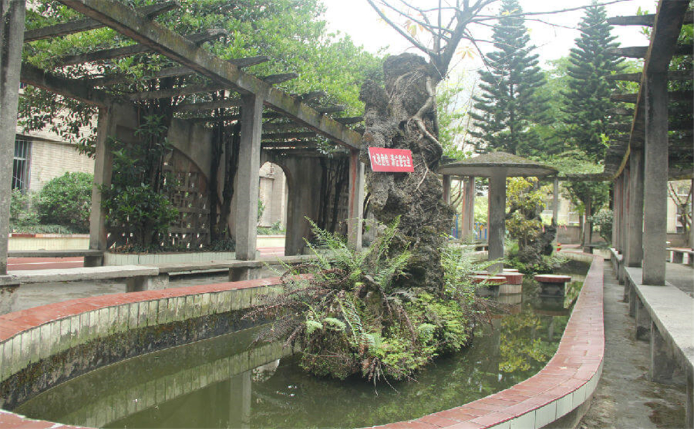 內(nèi)江鐵路中學學校環(huán)境怎么樣？