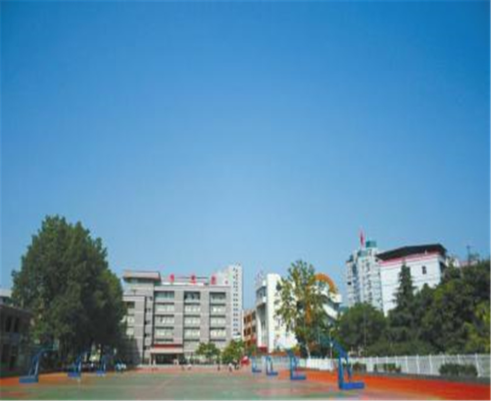 達(dá)川中學(xué)2020年的招生簡(jiǎn)章發(fā)布了嗎？