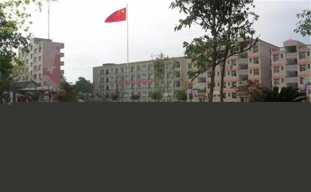 內(nèi)江市第十一中學學校詳細地址在什么地方？