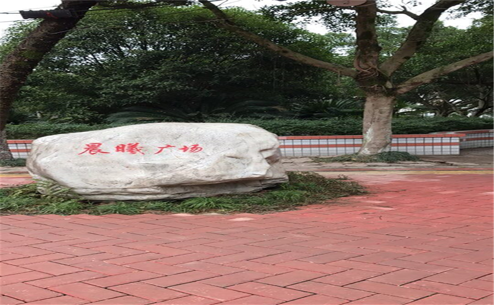 內江十二中2020年中考錄取分數(shù)線多少分？