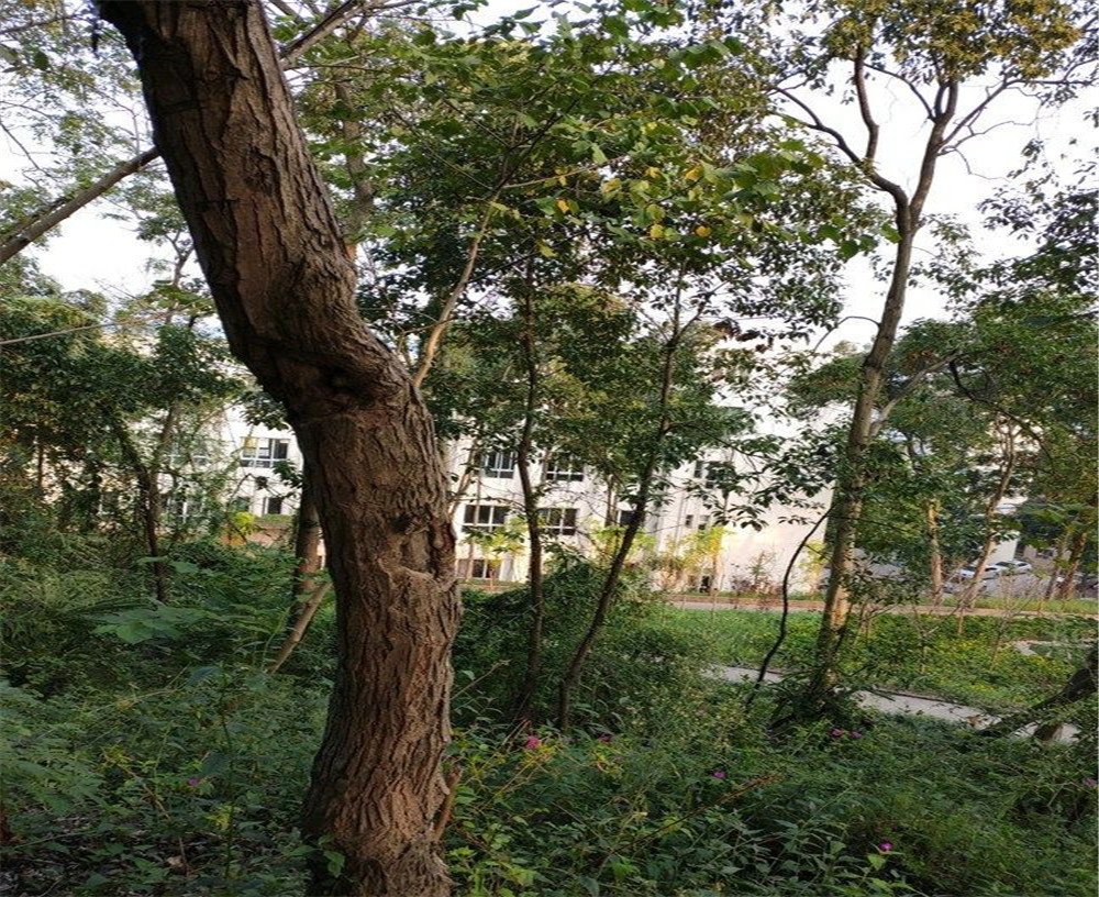 蒲家中學(xué)的詳細地址在什么地方？