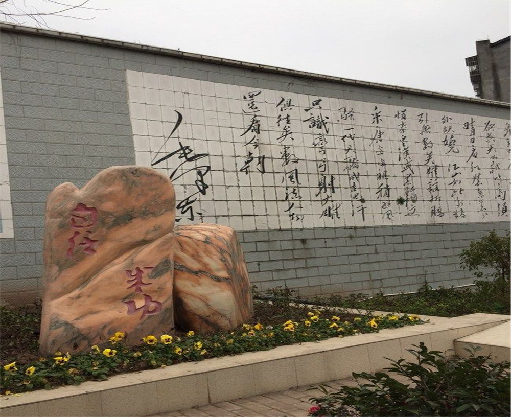 蒲家中學(xué)2020年招生計(jì)劃在哪兒看？