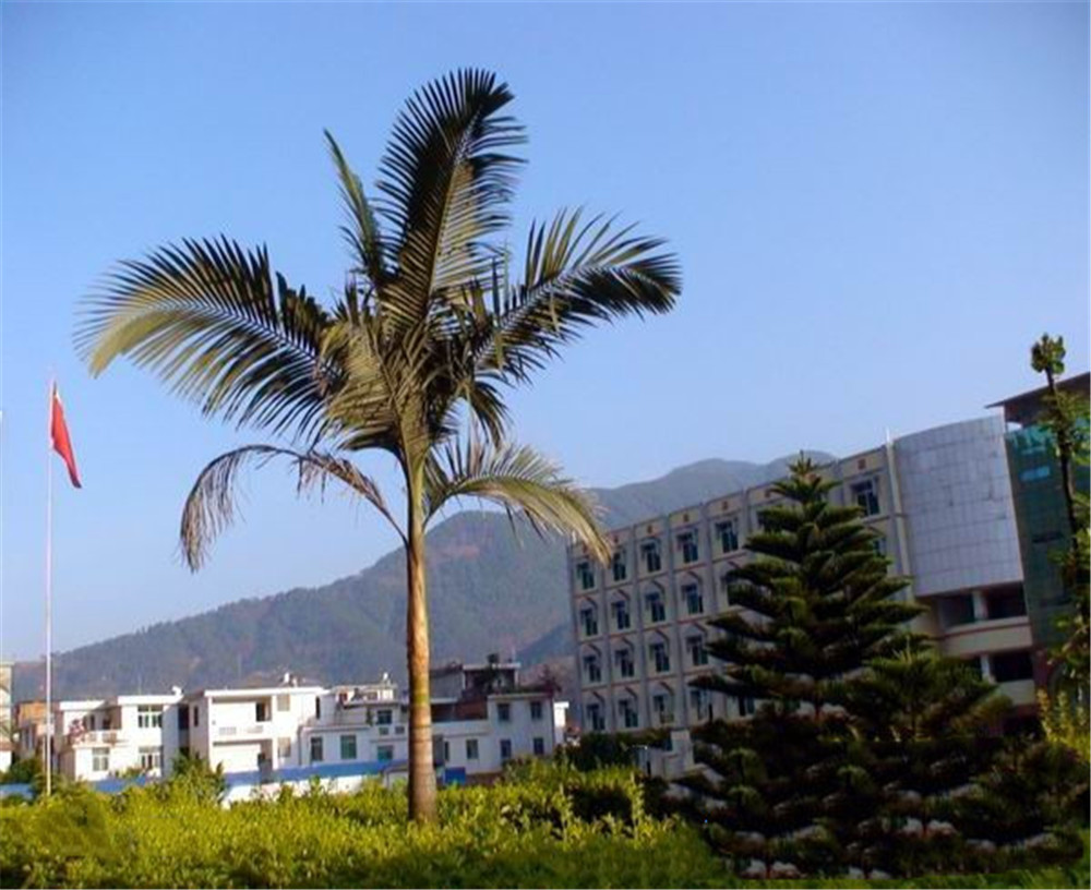 四川省鹽邊縣漁門中學(xué)2020年學(xué)校學(xué)費(fèi)多少錢一年？