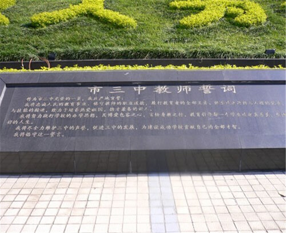 攀枝花市第三高級中學校2020年招生計劃公布了嗎？