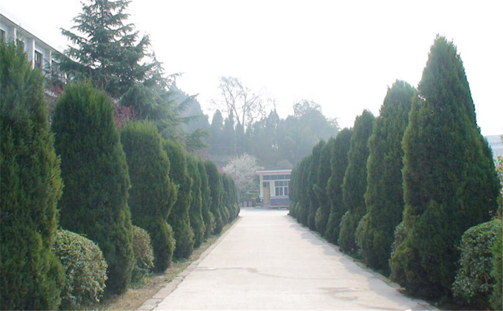 建興中學(xué)學(xué)校環(huán)境怎么樣？