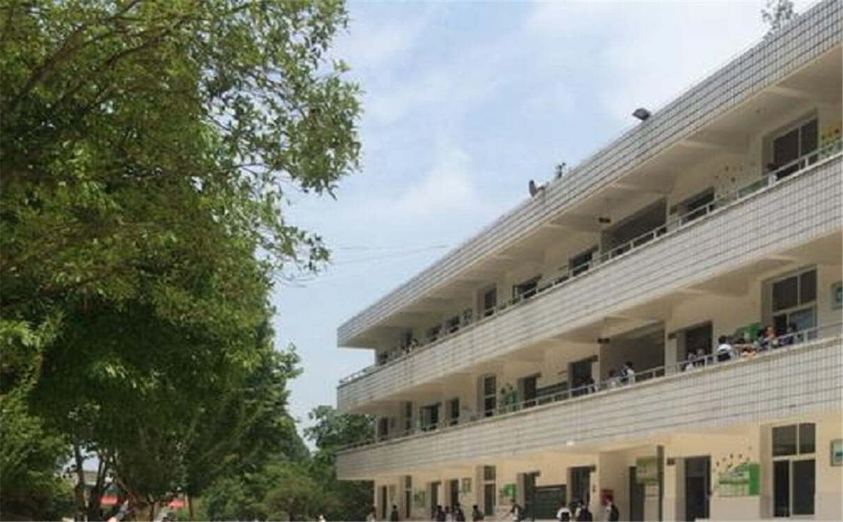 成都市太平中學育才的升學率是多少？