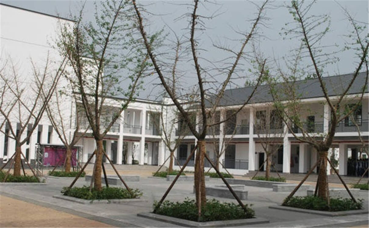 石室白馬中學(xué)的高中怎么樣？