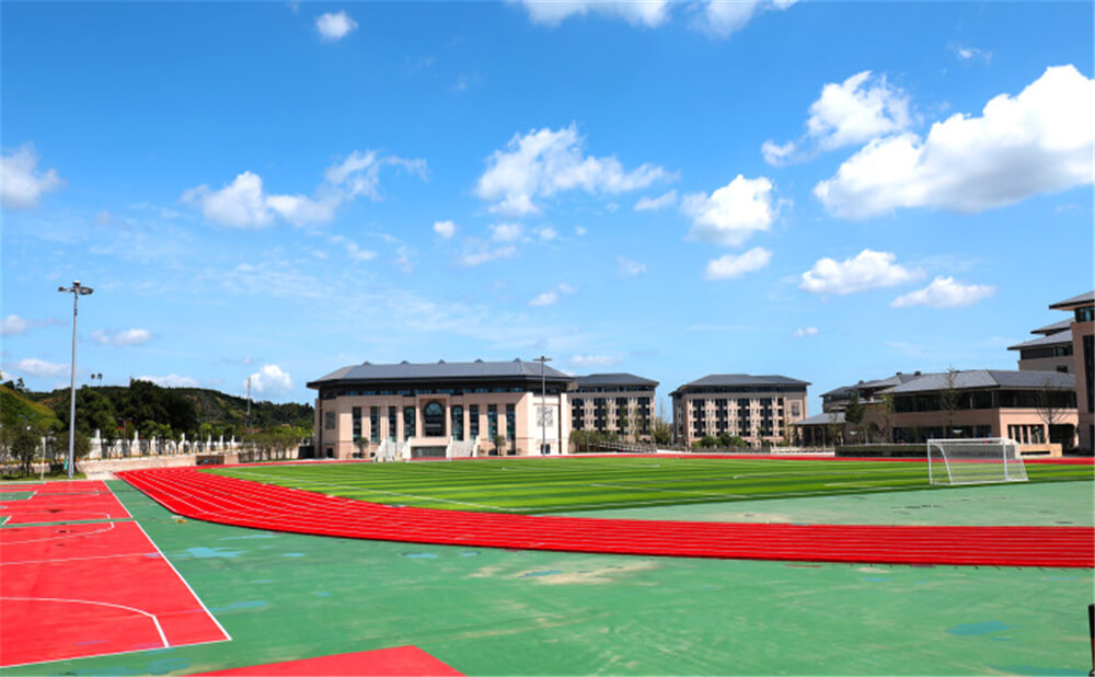 蒲江中學2020年招生錄取分數線是多少？