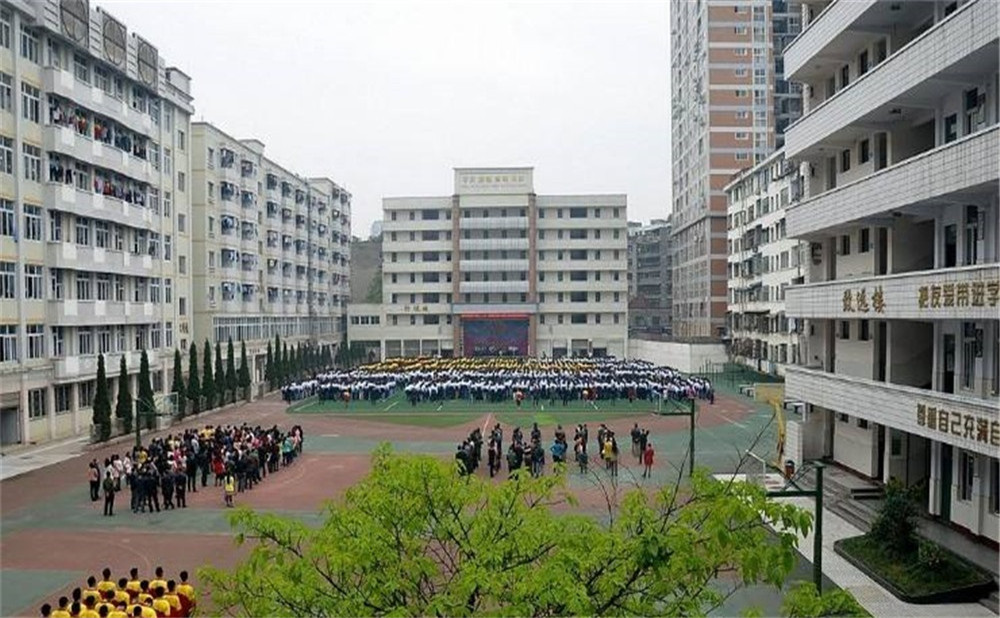 陽(yáng)安中學(xué)每年的學(xué)費(fèi)是多少？
