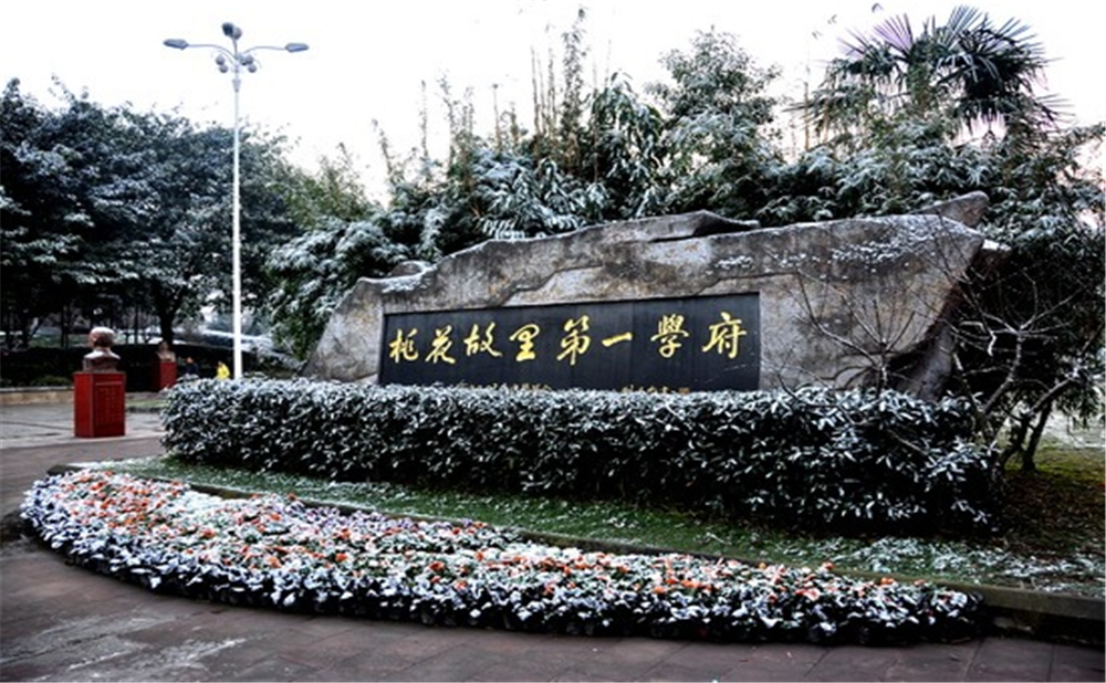成都市龍泉中學(xué)的高考升學(xué)率是多少？