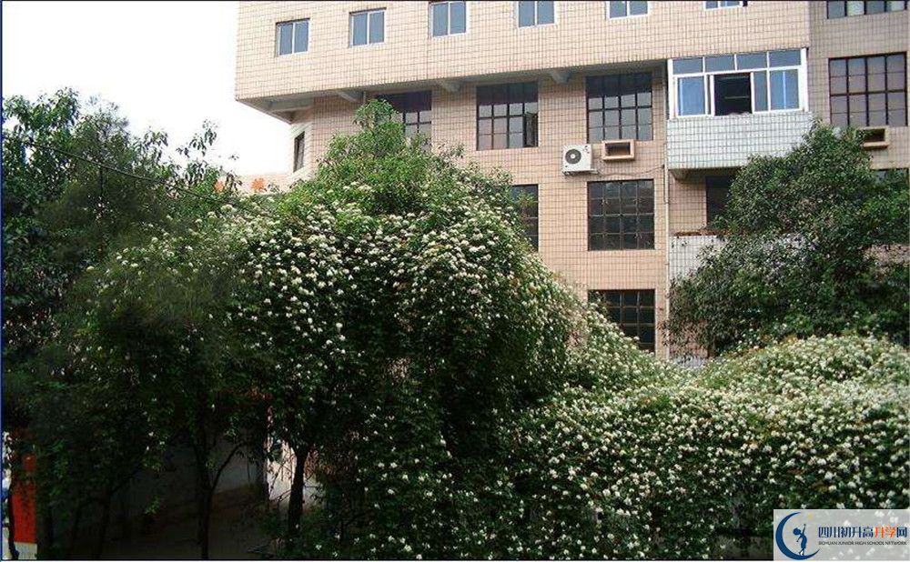 石室聯(lián)合中學(xué)蜀華分校一學(xué)期的學(xué)費(fèi)是多少？