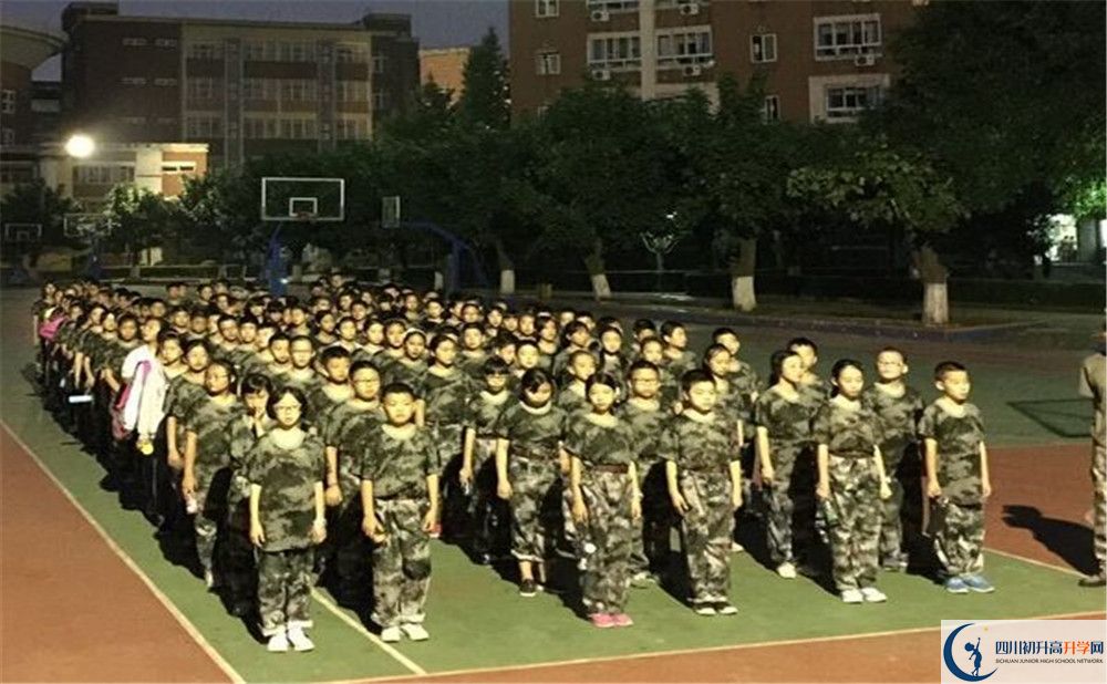 考樹德博瑞實驗學(xué)校的分數(shù)線是多少？