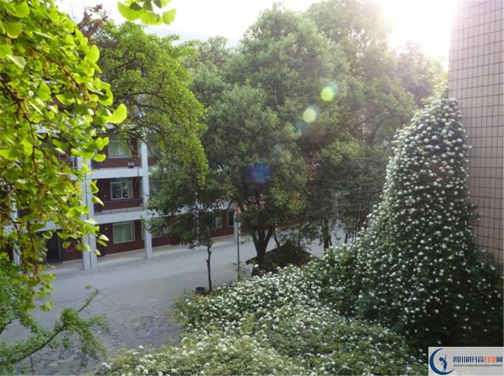 近幾年石室聯(lián)合中學(xué)蜀華分校高中錄取的分?jǐn)?shù)線？