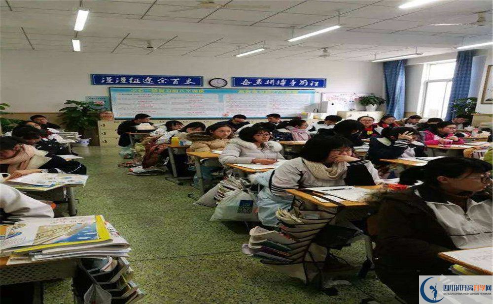 成都十二中地址在哪里？