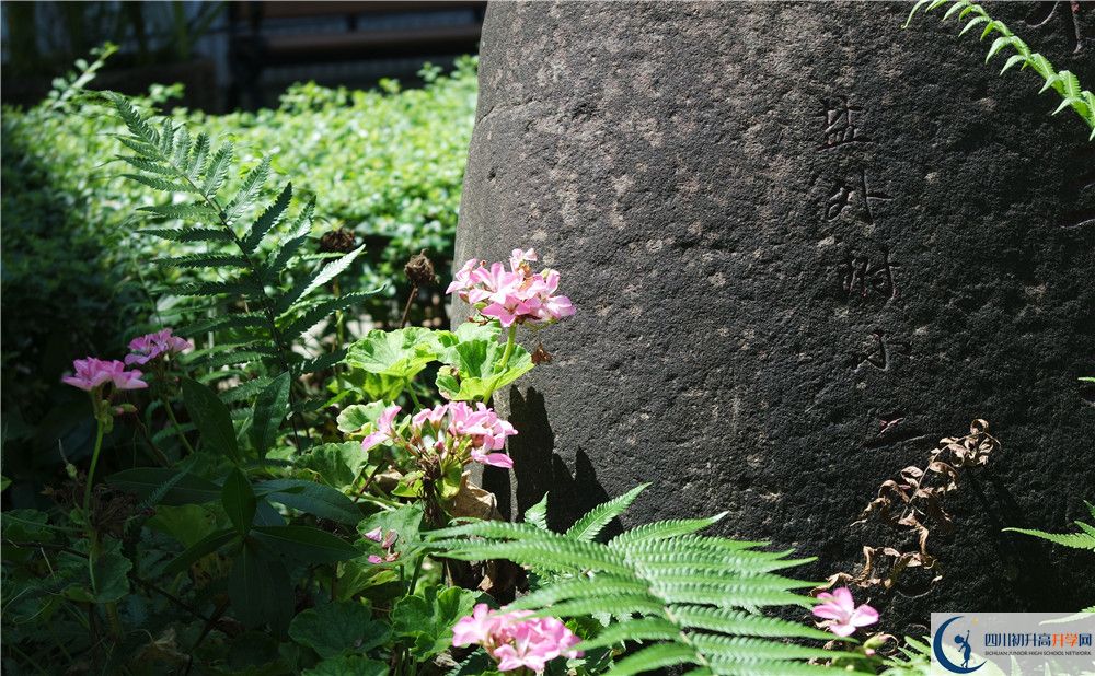 石室聯(lián)合中學(xué)蜀華分校住宿費(fèi)用是多少？