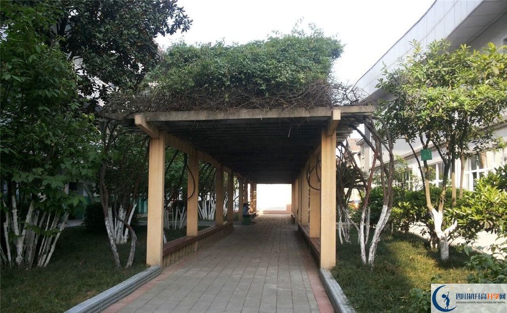 通錦中學(xué)2020年清華北大錄取學(xué)生有多少？