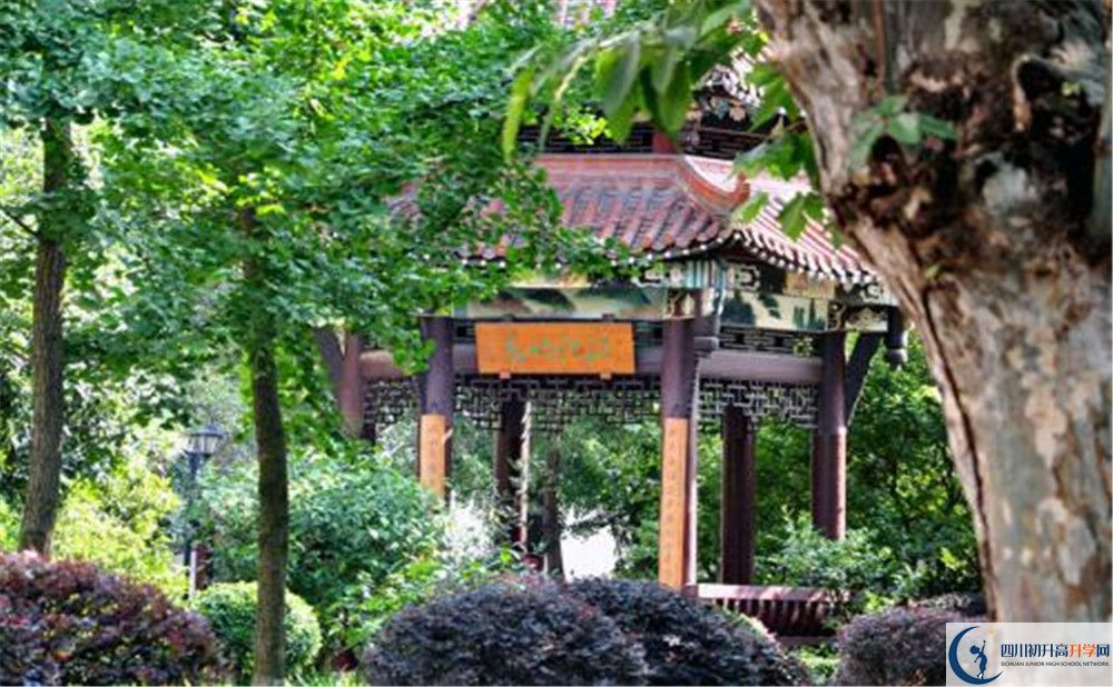 中和中學(xué)的地址怎么走？