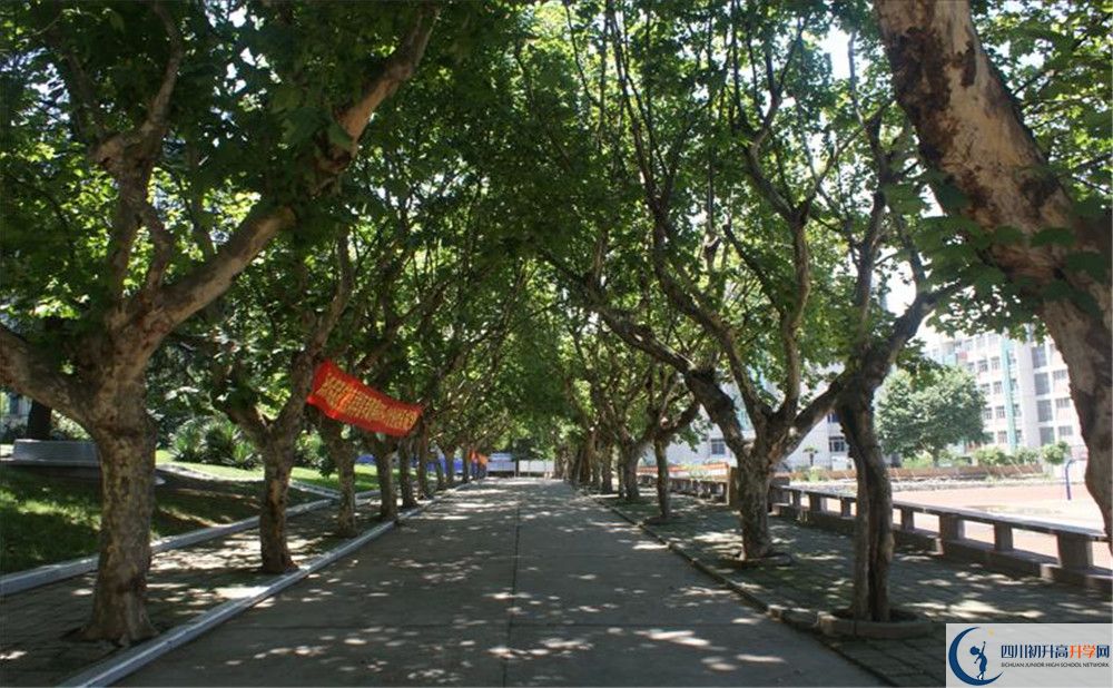 四川師范大學(xué)實(shí)驗(yàn)外國(guó)語(yǔ)學(xué)校的高中住宿怎么樣？