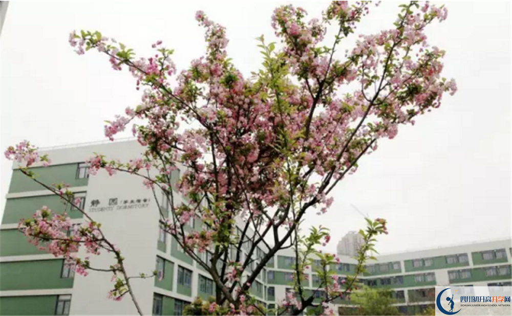 電子科技大學實驗中學2020高一開學時間是多久？