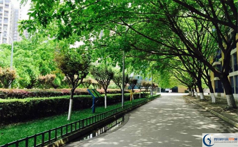 成都七中實驗學(xué)校自主招生條件是什么？