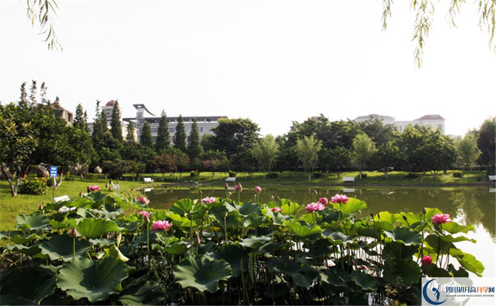 成都文武學(xué)校的高中住宿怎么樣？