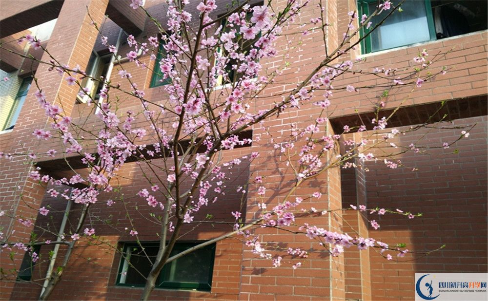 都江堰育才學校自主招生條件是什么？