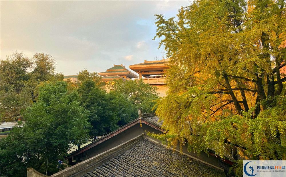 成都石室中學(xué)位置在哪里？