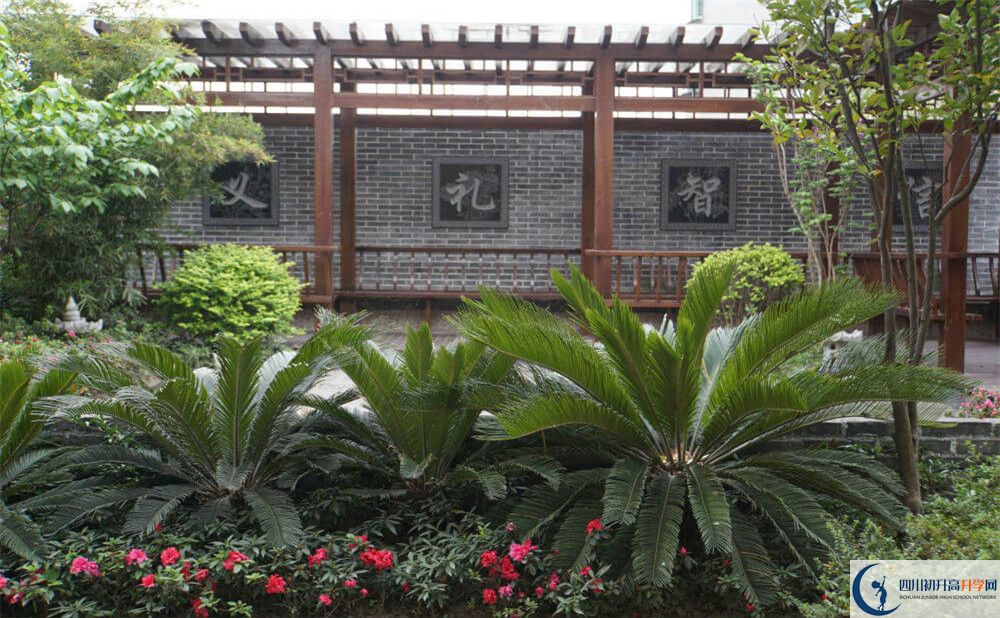 2020成都八中高考重點(diǎn)大學(xué)升學(xué)率是多少？