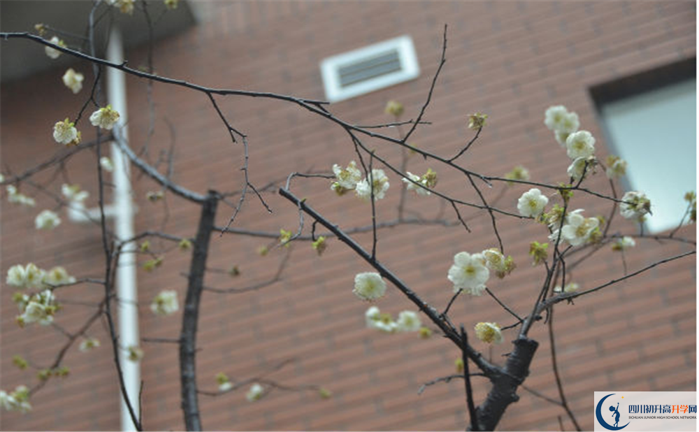 成都市華陽中學(xué)是私立還是公立學(xué)校？