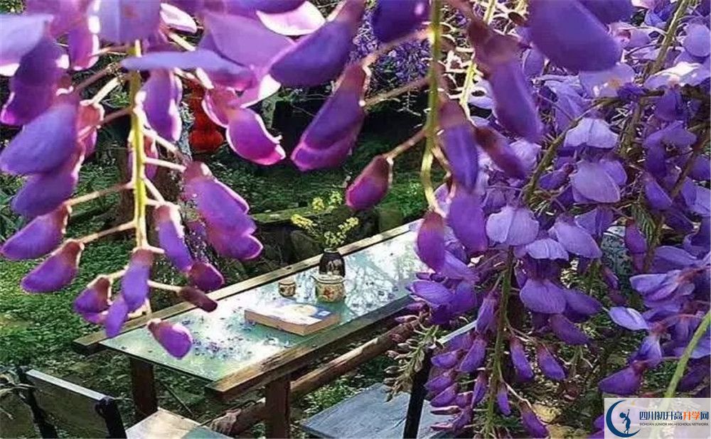 郫縣三中平行班與實(shí)驗(yàn)班差多少？